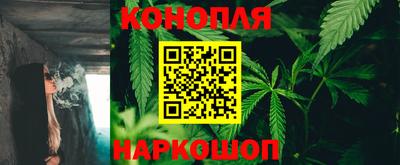 apvp Гудермес
