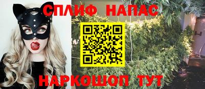 кокс Дмитров