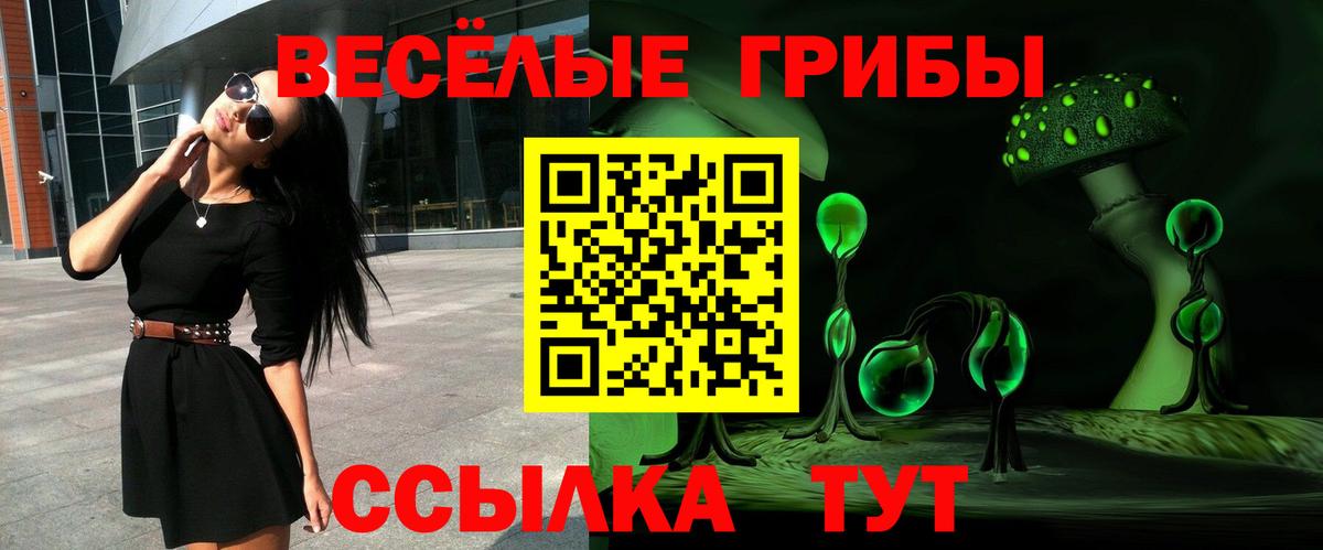Псилоцибиновые грибы прущие грибы Белебей